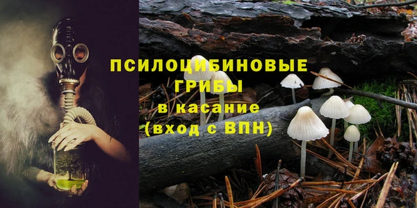 a pvp Надым