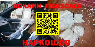 тгк Славгород