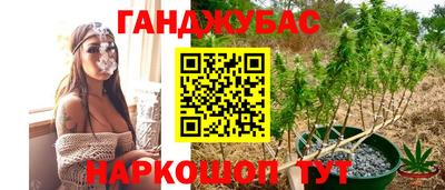 тгк Славгород