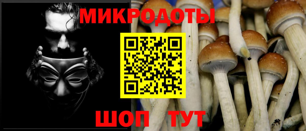 Галлюциногенные грибы мухоморы  Вход с VPN  купить наркотики сайты  Галлюциногенные грибы Psilocybine cubensis  Нарьян-Мар 